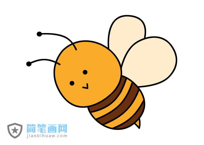 蜜蜂簡筆畫彩色繪畫步驟教程