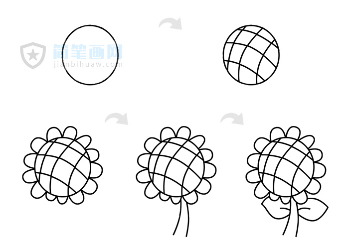 向日葵簡筆畫包含步驟畫法