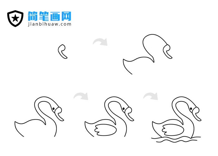 天鵝簡筆畫的畫法步驟和上色教程