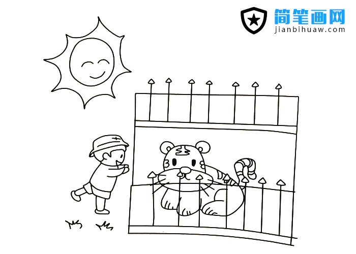 一個小朋友在動物園觀看老虎的簡筆畫圖片