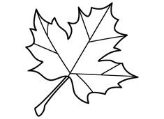 ���~���P���DƬ���ֽⲽ�E