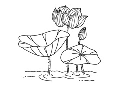 �ɻ���(ji��n)�P��(hu��)�DƬ