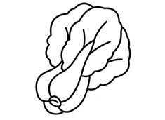 ��˺�(ji��n)�P��(hu��)�DƬ