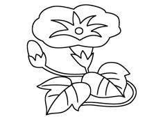 ���������P���DƬ