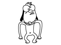 �˰������P���DƬ