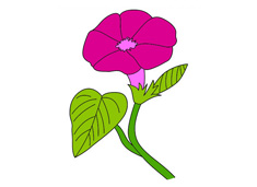 ��������(ji��n)�P������ɫ�DƬ