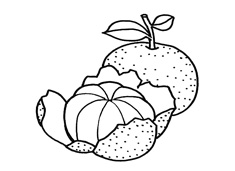 ���_(k��i)Ƥ�����Ӻ�(ji��n)�P��(hu��)�DƬ