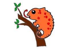 ��֦�ϵ�׃ɫ����(ji��n)�P���DƬ