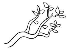 ��(ji��n)�κî�(hu��)�Ę�(sh��)֦��(ji��n)�P��(hu��)�DƬ����ɫ