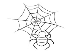 ���κî���֩��W(w��ng)֩�뺆�P���DƬ