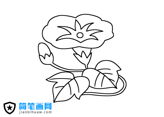 ���������P���DƬ