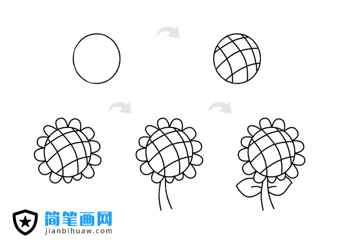 向日葵簡(jiǎn)筆畫步驟畫法