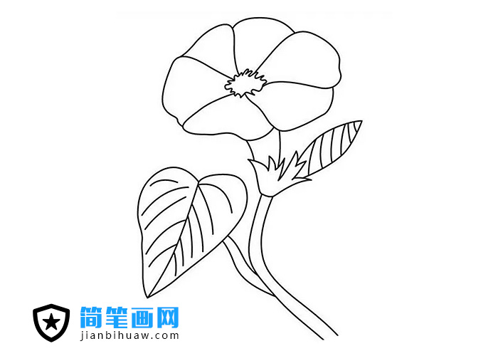 ��������(ji��n)�P��(hu��)����ɫ�DƬ