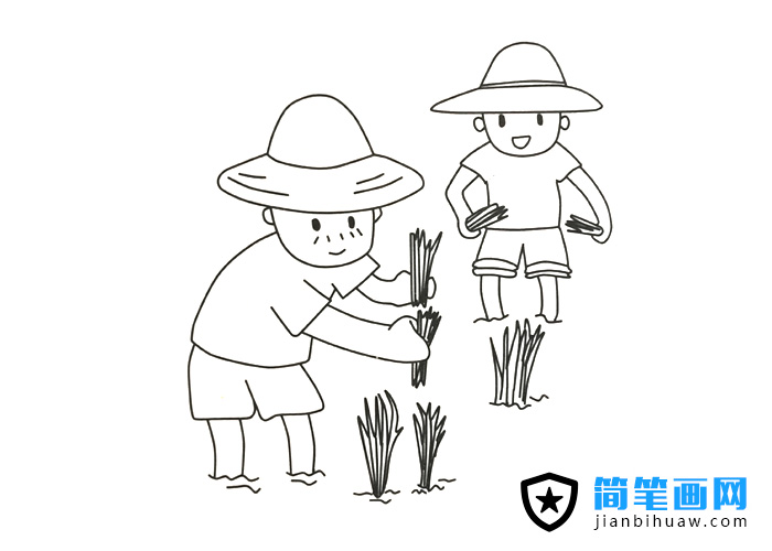 兩位農(nóng)民爺爺在田里栽水稻的簡筆畫圖片