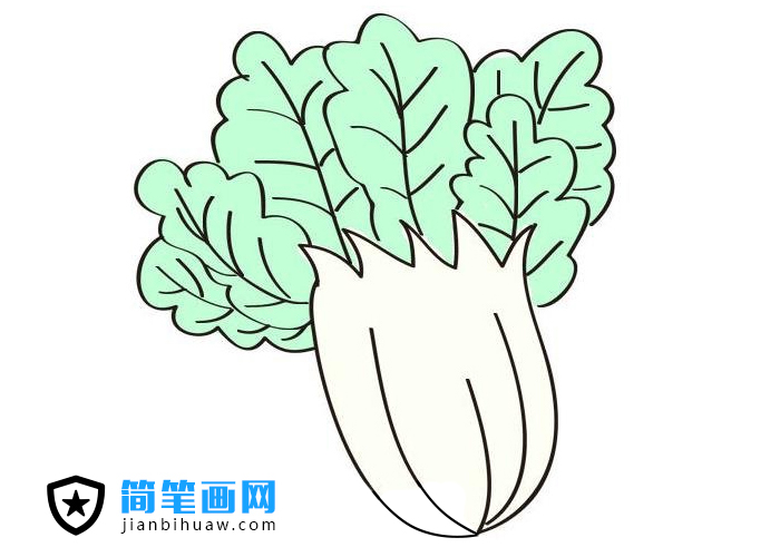 大白菜簡(jiǎn)筆畫怎么畫簡(jiǎn)單漂亮