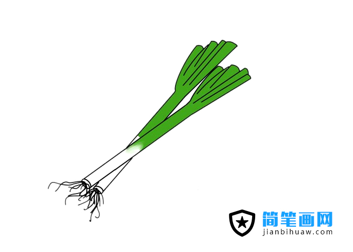 大蔥簡筆畫圖片含上色