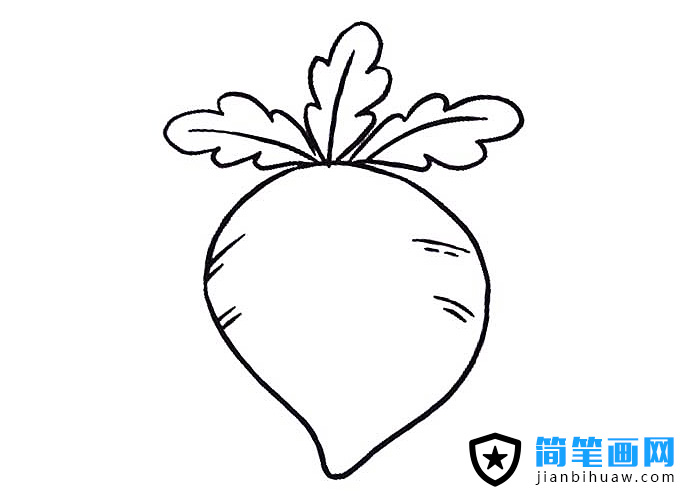 美味紅蘿卜簡筆畫圖片
