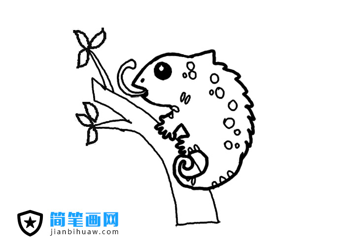 變色龍簡(jiǎn)筆畫圖片