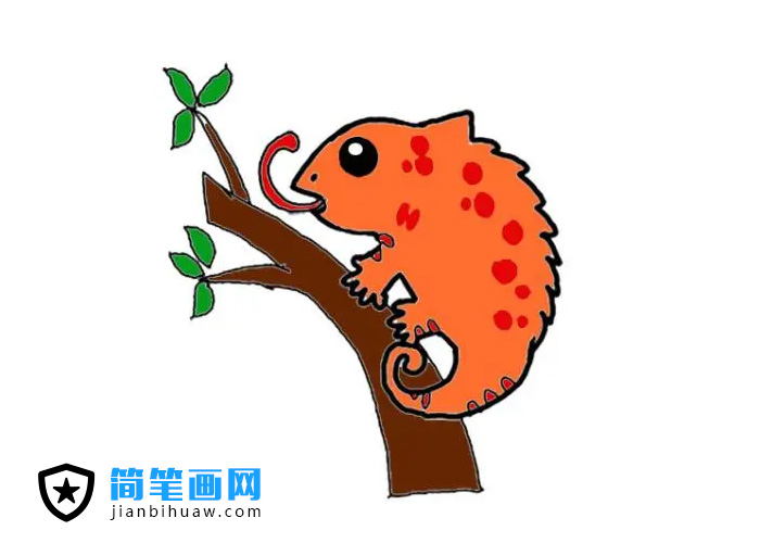 變色龍簡(jiǎn)筆畫圖片