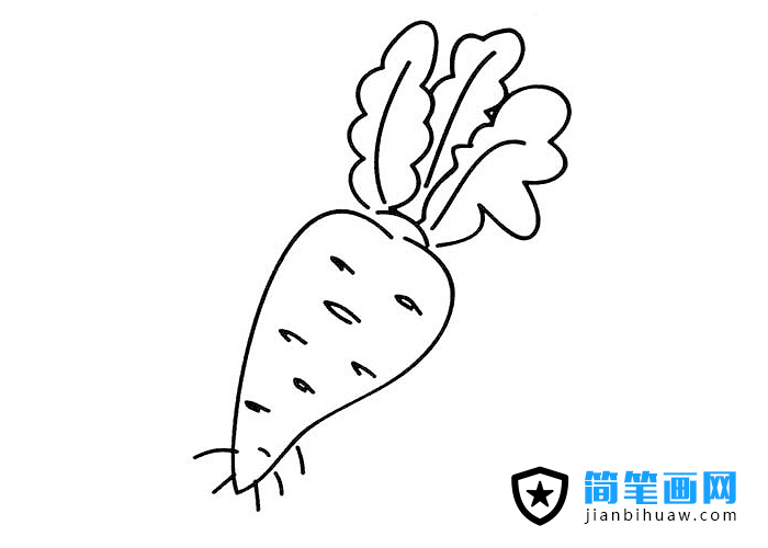 簡(jiǎn)單胡蘿卜簡(jiǎn)筆畫圖片
