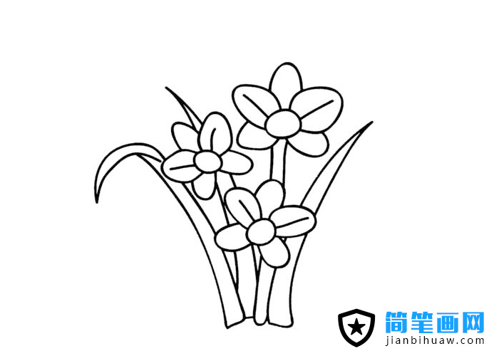 花卉水仙簡(jiǎn)筆畫圖片