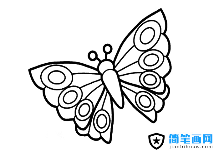 幼兒蝴蝶簡筆畫圖片