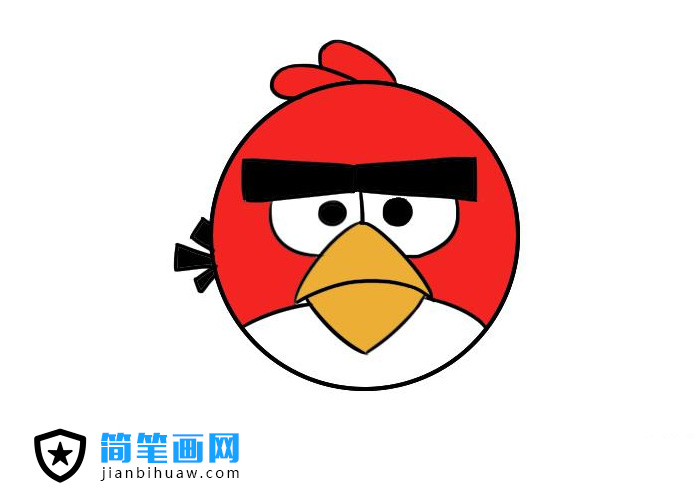 憤怒的小鳥簡(jiǎn)筆畫圖片含上色