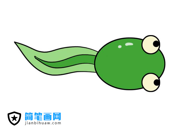 小蝌蚪簡(jiǎn)筆畫圖片含上色