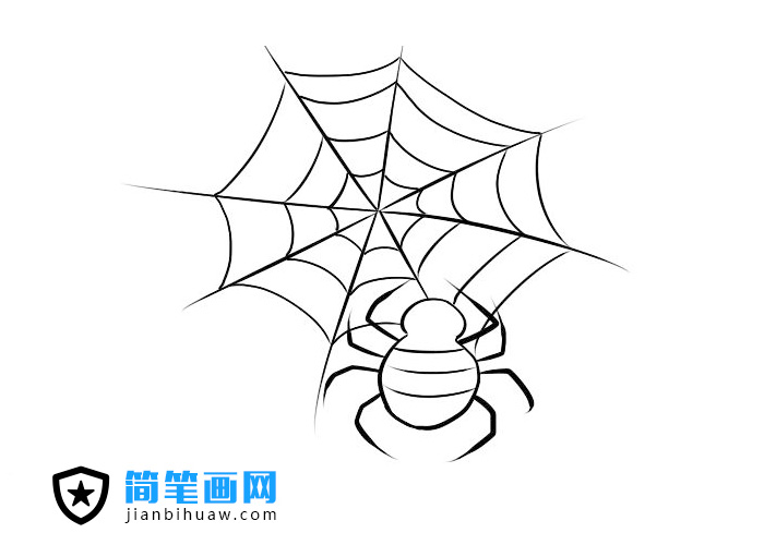 簡單好畫的蜘蛛網(wǎng)蜘蛛簡筆畫圖片